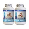 PET SUPPLEMENTS Dog Joint Vitamins - Turmeric Joint Health for