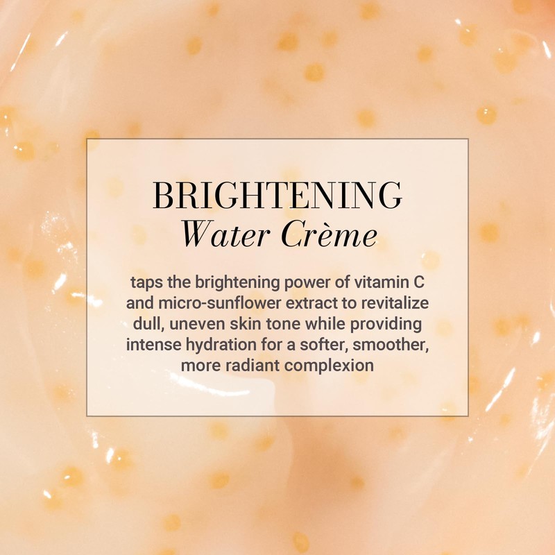 Meaningful Beauty Vitamin C Overnight Brightening Water Creme with Activated