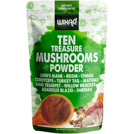 WIXAR NATURALS Wixar - Polvo de hongos  Mezcla de suplemento de extracto de hongos del tesoro para café y batidos  Melena de leones, cola de pavo,... 