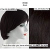 Hairdo Clip-In Human Hair Fringe Bangs Color R1HH Black -