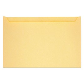QUA63872 - Quality Park Paper File Jackets