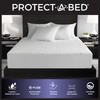 Protect-A-Bed Essential Mattress Pad King, 100% Waterproof, Dust Mite Barrier
