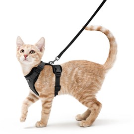 rabbitgoo rabbitgoo Cat Harness and Lead Set, Escape Proof Kitten Harness with Leash, Metal Ring, Lightweight Soft, Reflective Adjustable Vest for Small Cat Walking Travel XS, Black