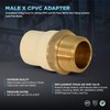 Supply Giant CSDQN336 Male x PVC Adapter Transition Pipe Fitting