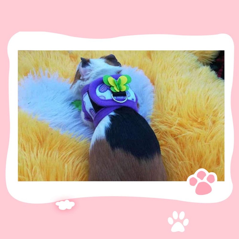 2 Pieces Small Animal Harness Lead, Hamster Harness, Chinchilla Harness,