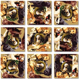 B Dazzle Retrievers Scramble Squares 9 Piece Puzzle