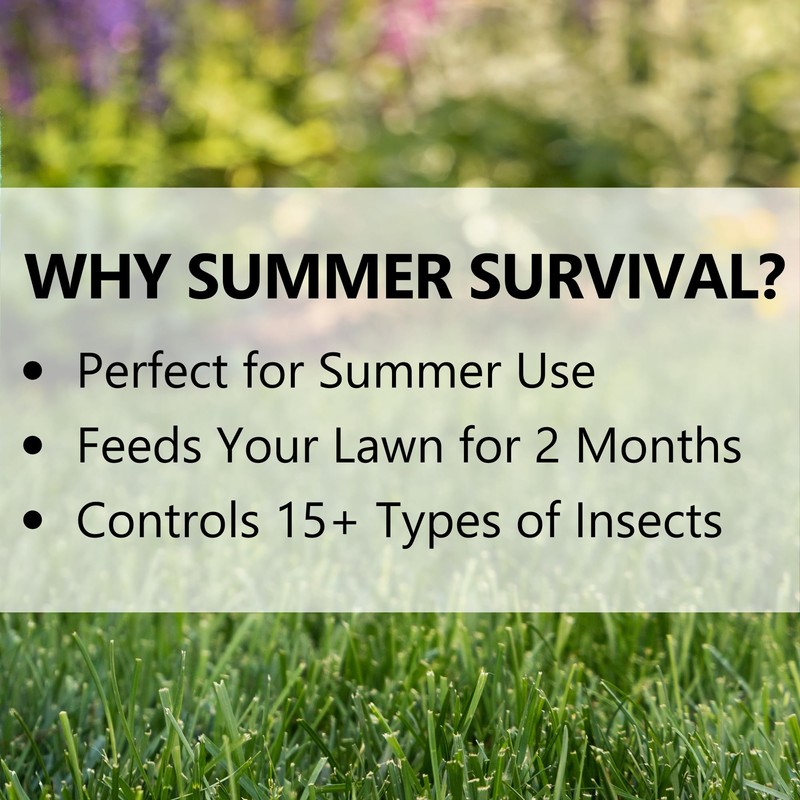 Jonathan Green (12011) Summer Survival Insect Control with Lawn Fertilizer