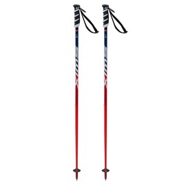Swix World Cup Pro Junior SL Ski Poles, 105 cm