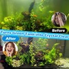 Aquarium U-V Filter 158GPH for 10-45 Gallon Small Betta Fish