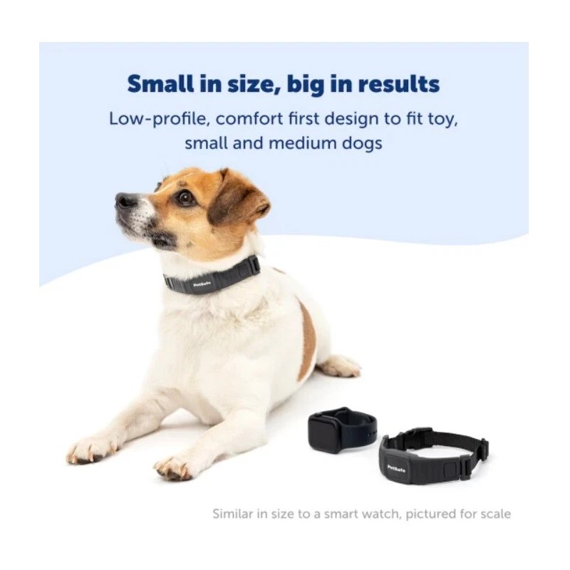 PetSafe PBC00-17758 NanoBark™ Collar | World's Smallest Bark Collar