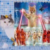 RosieLily Funny Kids Cat Beach Shower Curtains Set with 12