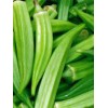 Little Seed Store 40+PERKINS DWARF OKRA Seeds Compact 4' Plant