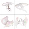 CAIRIAC Shell Conch Beach Towel Clips, Beach Chair Towel Clip,