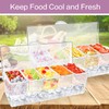 FODIENS 5 Compartment Condiment Server, Ice Chilled Condiment Containers with