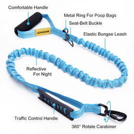 LEADSOM 6FT Highly Reflective Heavy Duty Elastic Bungee Medium and Large Dog Leash Shock Absorbing with Comfortable Padded Handle and Traffic Handle Suitable for Training Light Blue