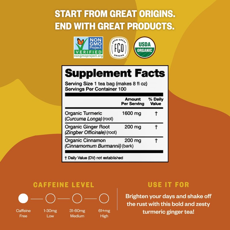 FGO Organic Turmeric Ginger Tea, Eco-Conscious Tea Bags, 100 Count,