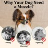 Mayerzon Short Snout Dog Muzzle, Small Muzzle for Chihuahua Shih