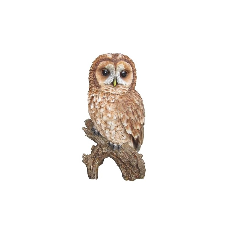 Vivid Arts Tawny Owl Real Life Ornament