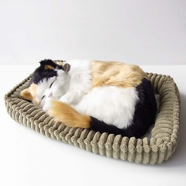 Ninandokino Perfect Pet (Small Size) Triltoise Cat Plush Cat Cat Cat Realistic Realistic Miscellaneous Goods Animals Animals Healing Moving Present Gift Celebration Cute Cat Plush