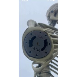 Home Accents Holiday 12 Foot Skeleton First Aid Parts Kit- Head with Left & Righ conn - Elbow's