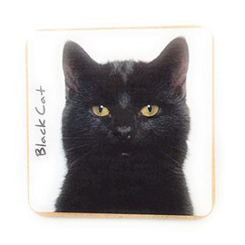 Black Cat Pet Coaster For Drinks, Coffee, Tea. 9.5 x 9.5 cm. Birthday Present, Christmas Stocking Filler, Cat Dad/Mum Gift, Cat Lovers.