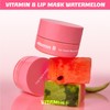 The Face Shop Vitamin A Lip Mask 14g, Shade:Vitamin E