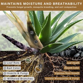 3lb Black River Rocks for Plants Indoor, 1-2Inch Pebbles for Vases Fillers, Decorative Gravel for Fish Tank, Natural Polished Stones for Succulent, Bonsai, Landscaping, Bird Baths