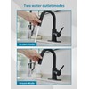 Black Bathroom Sink Faucet with Pull Out Sprayer for Sink