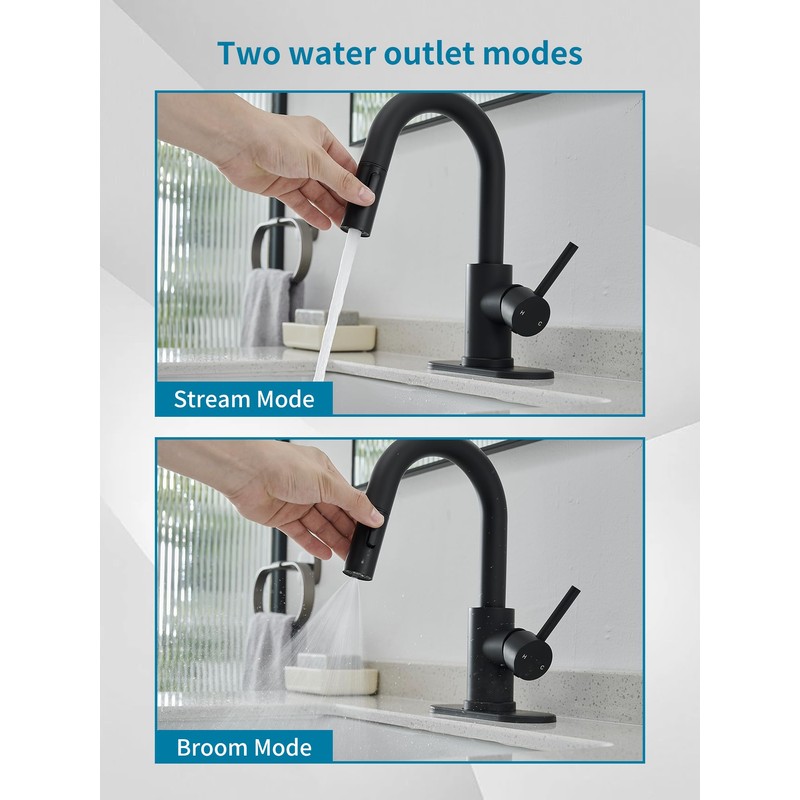 Black Bathroom Sink Faucet with Pull Out Sprayer for Sink