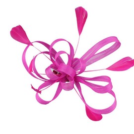 Holibanna Women Fascinators Wedding Flower Hair Clips Pillbox Hat Feather Flapper Bridal Headdress Headpieces Hair Accessories (Rose Red)
