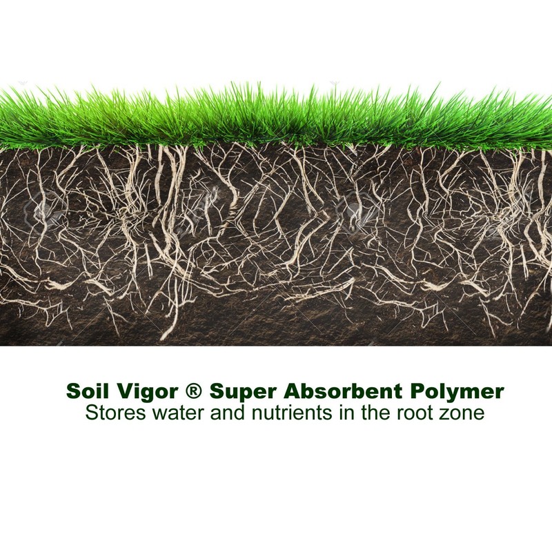 Super Absorbent Polymer Keep Water and Liquid Nutrition for Plants