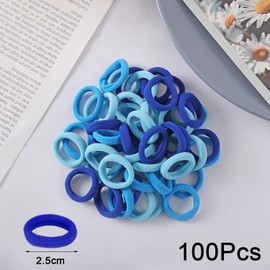 Rpanle 100 Pieces Elastic Hair Ties, Hair Elastic Bands Ponytail Holders, 2.5 mm Hair Bands Hair Bobbles for Girls (Blue)