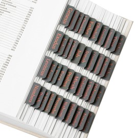 Mr. Pen- Bible Tabs, 75 Tabs, Cool Gray, Laminated Bible Tabs for Women and Men, Bible Tabs for Study Bible Index Tabs, Bible Book Tabs, Bible Labels Tabs, Mr Pen Bible Tabs for Women Study Bible