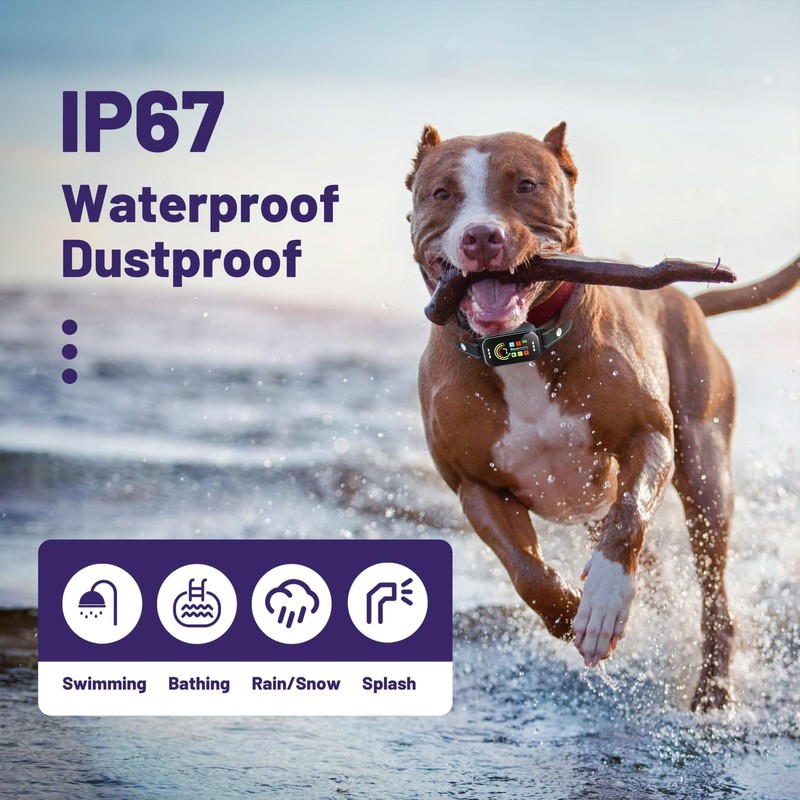 Bark Collar 2 Pack,Bark Collar for Large Medium Small Dogs