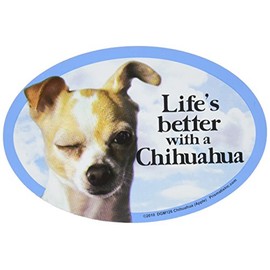 Prismatix Decal Cat and Dog Magnets, Chihuahua Apple