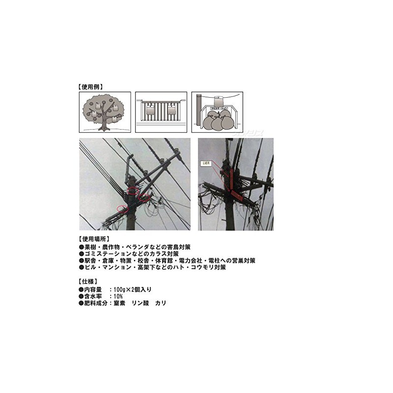 Birds, 忌避 King Pack of 2 HK – 2