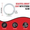 BULBMASTER FC8T9/CW 22 Watt 8 Inch Round T9 Fluorescent Circular
