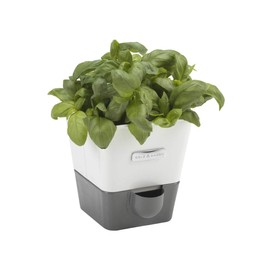 Cole & Mason H105249 Fresh Herb Range Self-Watering Potted Herb Keeper, Enamel Coated Steel, White and Grey, Single
