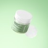 Vegan effect [Basic item set] Vegan effect green barley zinc