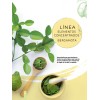 Shampoo Bergamota, Cola De Caballo Florigan® 1 Lt