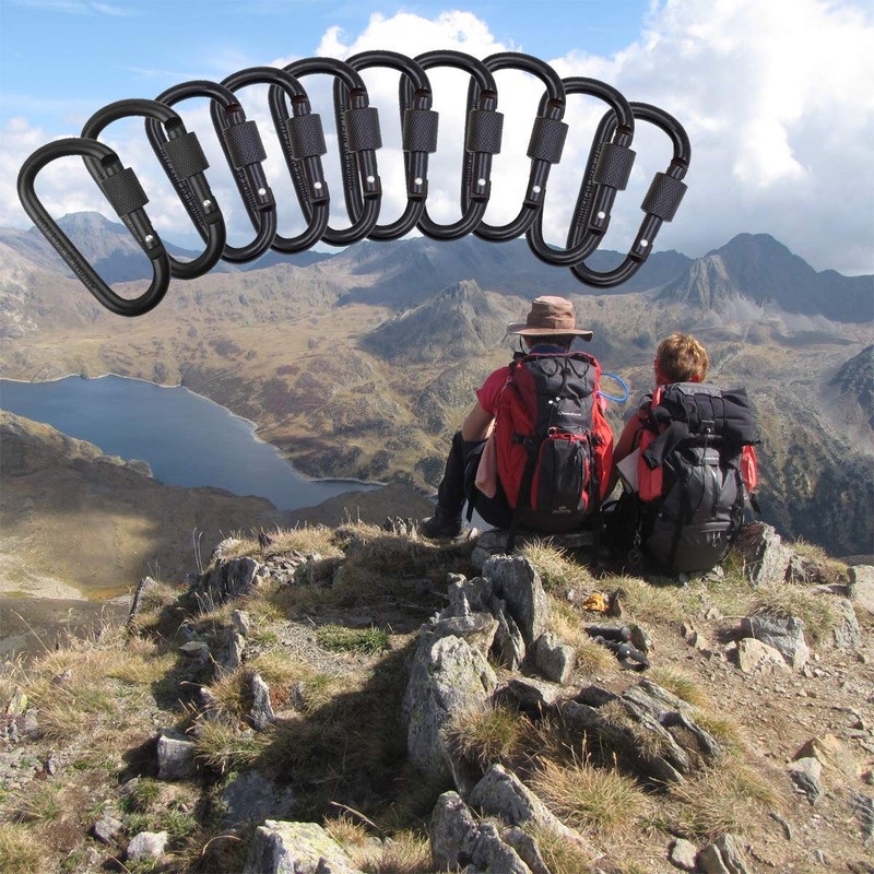 Carabiner Set of 10 Bonpuri Duralumin Travel Carabiner Key Ring,