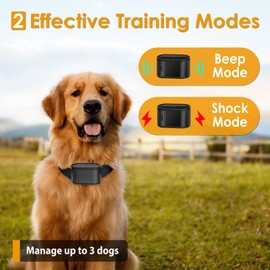 In-Ground Electric Dog Fence System for 2 Dogs - Covers up to 6/5-Acre, Electric Circular Fence for Dogs, Pet Tone Shock Boundary Containment Waterproof Collar Receiver for Small Medium Large Dogs