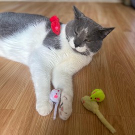 SPOT Colored Plush Mice Cat Toy - Rattle and Catnip Toy for Indoor Cats and Kittens - Bright Colored Classic Toy for Batting and Chasing Around - Fun Entertainment for Hours - 4.5inch Assorted 4-Pack