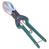 Pumpkin Shaft Cutting Shears for Cutting Garlic Root (Green (for