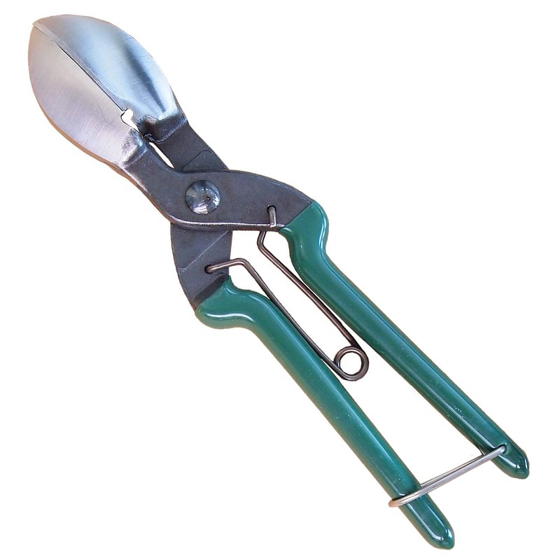 Pumpkin Shaft Cutting Shears for Cutting Garlic Root (Green (for