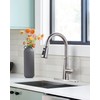 WOWOW Kitchen Faucet Head Replacement, 3 Function Pull Down Faucet