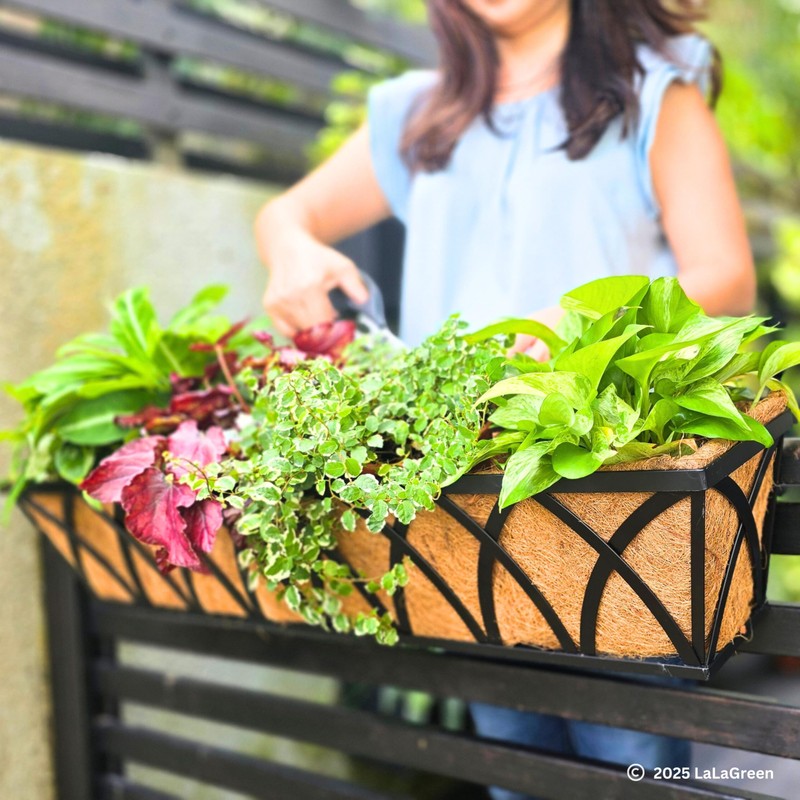 LaLaGreen Railing Planter Boxes (24 Inch, 2 Pack) Black Metal