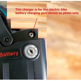 5 Amps Smart Charger Compatible with Nakto OX Folding Electric Bike