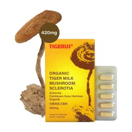 TIGERUS Tiger Milk Mushroom (LiGNO TM02® Lignosus rhinocerus Sclerotia) Malaysia, Lung Respiratory Immune Support 420mg x 60 vegecap