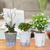5-Pack Clear Plastic Orchid Pots with Drainage Holes - 14cm